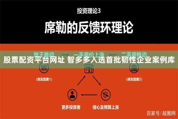 股票配资平台网址 智多多入选首批韧性企业案例库