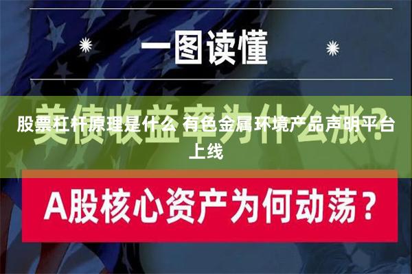 股票杠杆原理是什么 有色金属环境产品声明平台上线