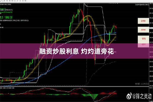 融资炒股利息 灼灼道旁花