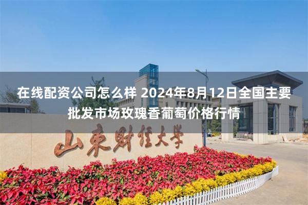 在线配资公司怎么样 2024年8月12日全国主要批发市场玫瑰香葡萄价格行情