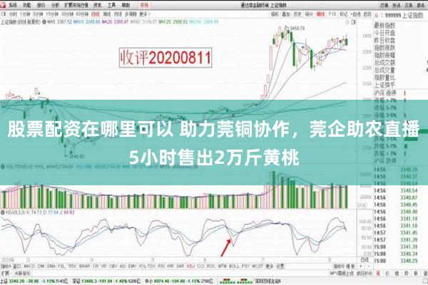 股票配资在哪里可以 助力莞铜协作，莞企助农直播5小时售出2万斤黄桃