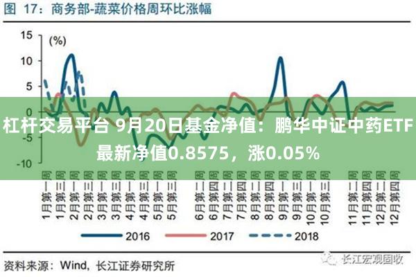 杠杆交易平台 9月20日基金净值：鹏华中证中药ETF最新净值0.8575，涨0.05%