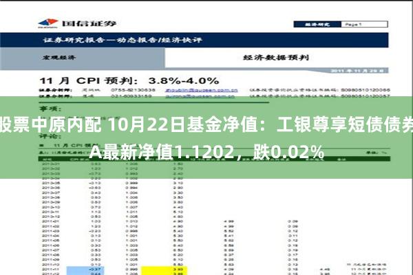 股票中原内配 10月22日基金净值：工银尊享短债债券A最新净值1.1202，跌0.02%