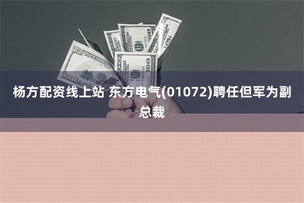 杨方配资线上站 东方电气(01072)聘任但军为副总裁