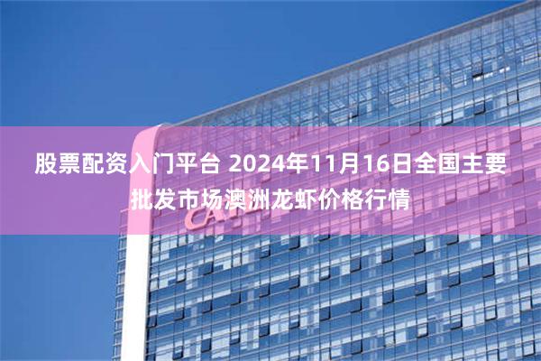 股票配资入门平台 2024年11月16日全国主要批发市场澳洲龙虾价格行情