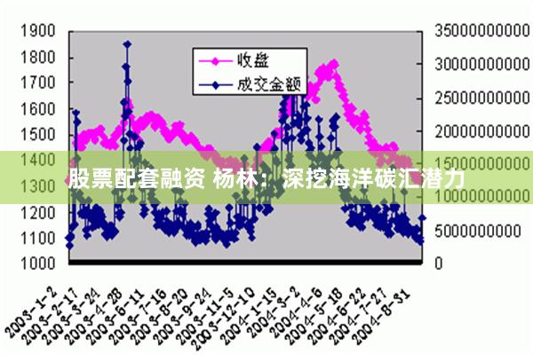 股票配套融资 杨林：深挖海洋碳汇潜力